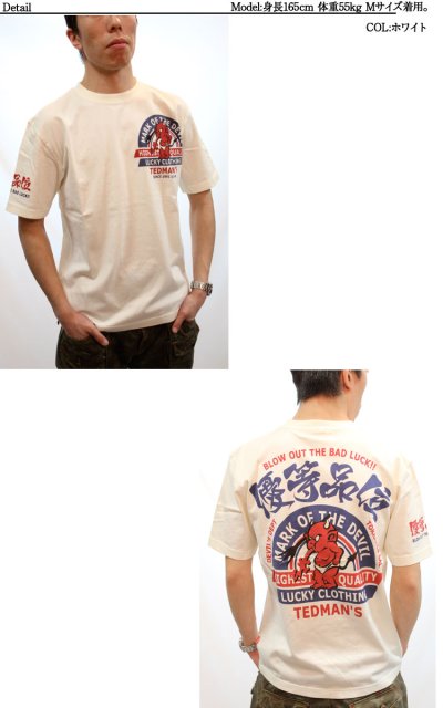 画像1: “TDSS-405”Tシャツ【TEDMAN】優等品位