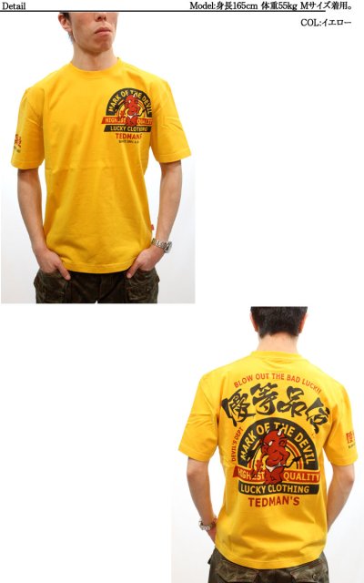 画像2: “TDSS-405”Tシャツ【TEDMAN】優等品位